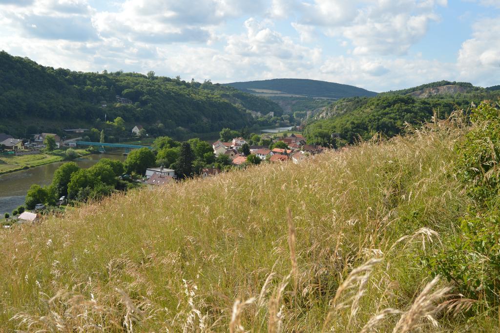 Restaurace A Penzion U Lva Karlstejn Bagian luar foto