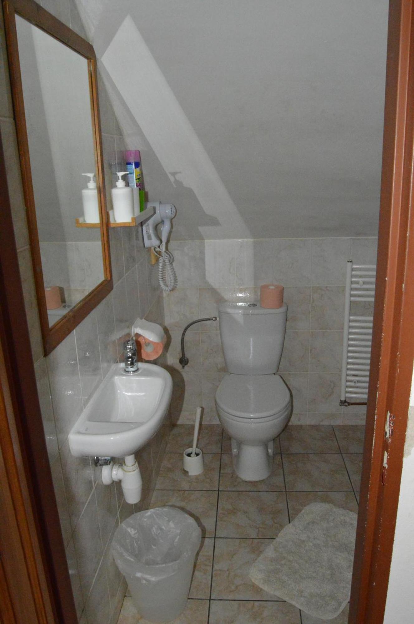 Restaurace A Penzion U Lva Karlstejn Bagian luar foto