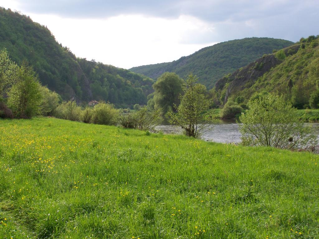 Restaurace A Penzion U Lva Karlstejn Bagian luar foto